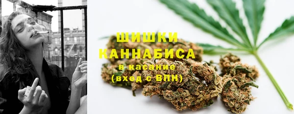 молекула духа Ростов
