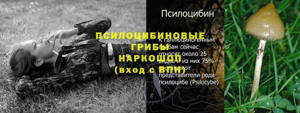 первитин Алексеевка