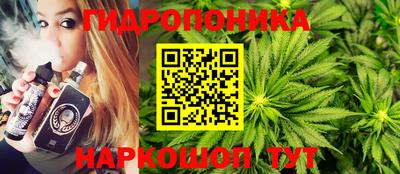 ПСИЛОЦИБИНОВЫЕ ГРИБЫ Гусев