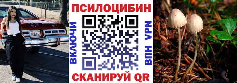 Псилоцибиновые грибы прущие грибы  KRAKEN зеркало  Лениногорск 