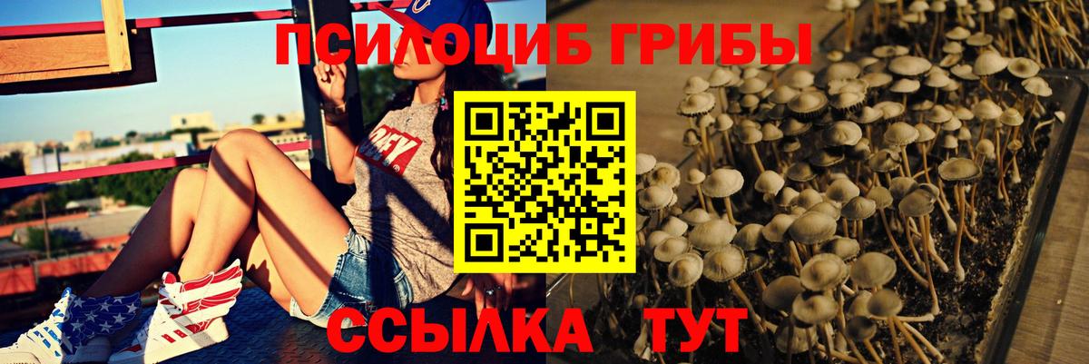 Псилоцибиновые грибы Magic Shrooms  Вход с VPN  Лениногорск 