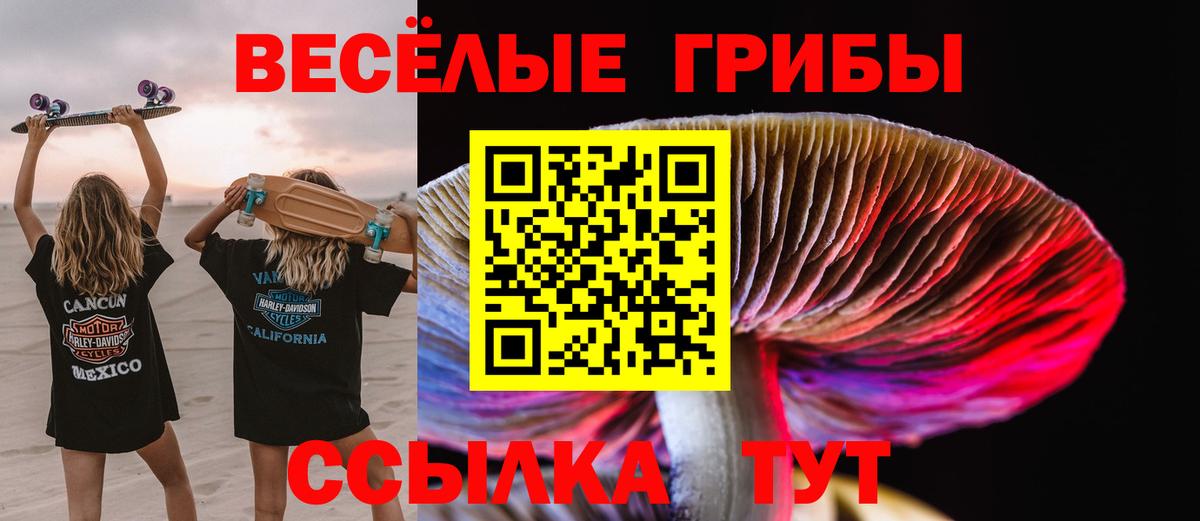 Псилоцибиновые грибы Psilocybine cubensis Лениногорск